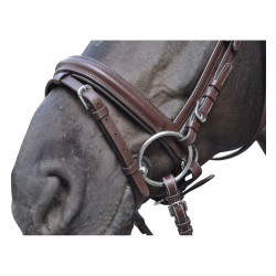 Bridon Hickstead Flags & Cup