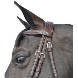 Bridon Hickstead Flags & Cup