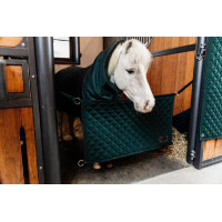 Porte de box Kentucky Noir