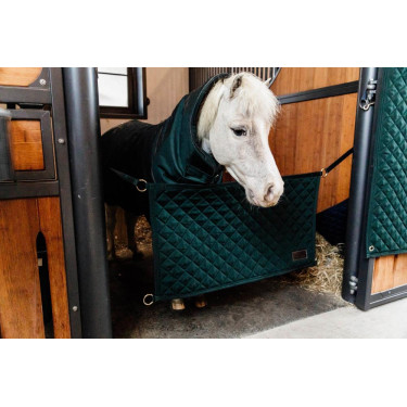 Porte de box Kentucky Porte de box Kentucky
