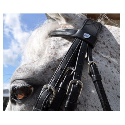 Bride Hagen Flags & Cup Bride Hagen Flags & Cup