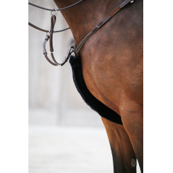 Fourreau de collier de chasse en mouton Kentucky Noir Fourreau de collier de chasse en mouton Kentucky Noir