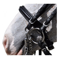 Bride Hagen Flags & Cup Bride Hagen Flags & Cup