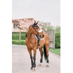 Fourreau de muserolle en mouton Kentucky Naturel Marron Fourreau de muserolle en mouton Kentucky Naturel Marron