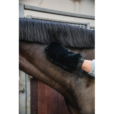 Gant de pansage mouton Kentucky Gant de pansage mouton Kentucky