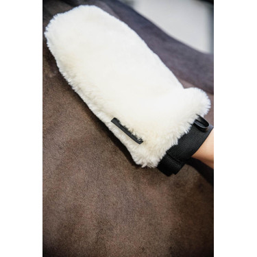 Gant de pansage mouton Kentucky Gant de pansage mouton Kentucky