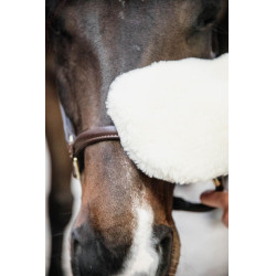 Gant de pansage mouton Kentucky Naturel Marron