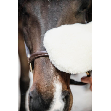 Gant de pansage mouton Kentucky Gant de pansage mouton Kentucky
