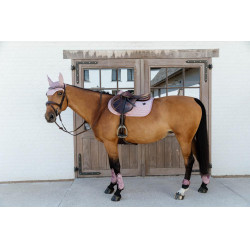 Protège-boulet jeunes chevaux Velvet Kentucky Vieux rose