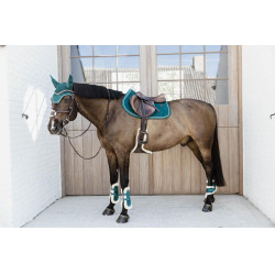Protège-boulet jeunes chevaux Velvet mouton vegan Kentucky Emeraude Vert