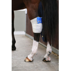 Chaussette Tendon Grip Kentucky Blanc