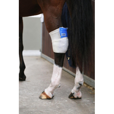 Chaussette Tendon Grip Kentucky Chaussette Tendon Grip Kentucky