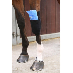 Chaussette Tendon Grip Kentucky