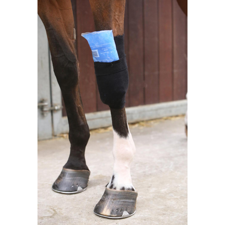 Chaussette Tendon Grip Kentucky