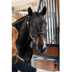 Têtière pour Licol Anatomique en cuir Kentucky Marron