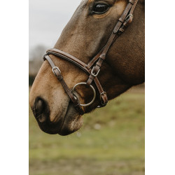 Bridon Norton Club Deco Havane Marron