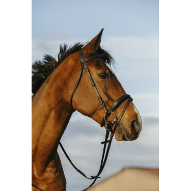 Bridon Riding World muserolle combinée double Bridon Riding World muserolle combinée double