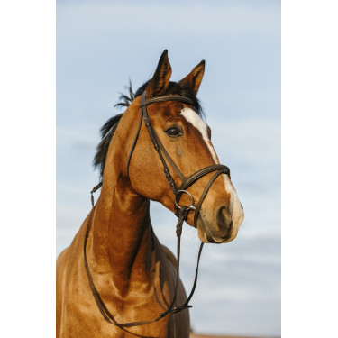 Bridon Riding World muserolle combinée double Bridon Riding World muserolle combinée double