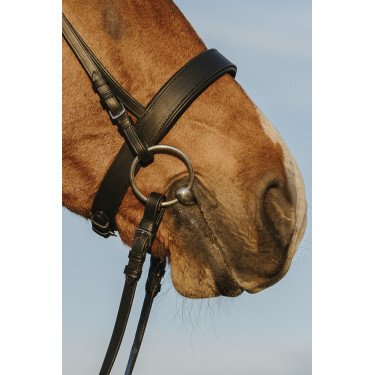 Bridon Riding World Muserolle large Bridon Riding World Muserolle large