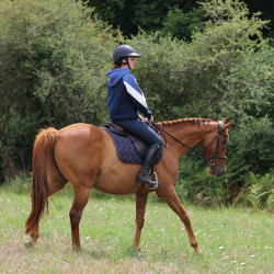 Sweat New Twister Pénélope Bleu marine Sweat New Twister Pénélope Bleu marine