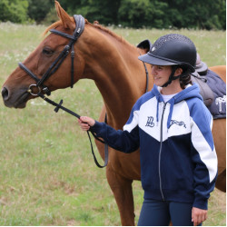 Sweat New Twister Pénélope Bleu marine Sweat New Twister Pénélope Bleu marine