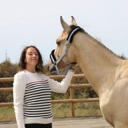 Pull Pénélope x Saint James Maelle Ecru / marine / rouge Motifs Pull Pénélope x Saint James Maelle Ecru / marine / rouge Motifs