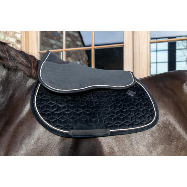 Amortisseur Absorb Kentucky Amortisseur Absorb Kentucky