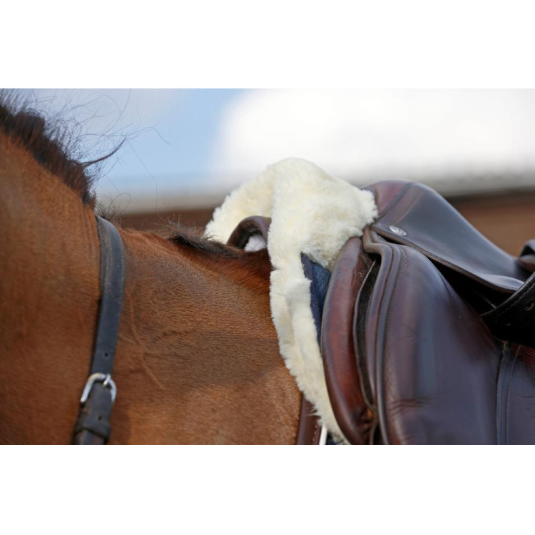 Amortisseur mouton Absorb Kentucky Amortisseur mouton Absorb Kentucky