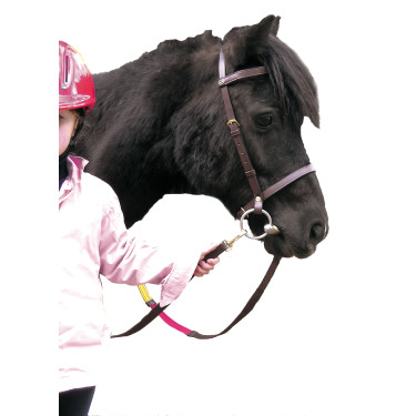 Bridon Educatif Canter Shetland Bridon Educatif Canter Shetland
