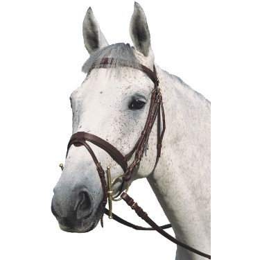 Bridon plat double Canter Bridon plat double Canter