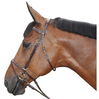 Bridon surpiqué combiné Canter Bridon surpiqué combiné Canter