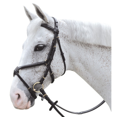 Bridon surpiqué croisé Canter Bridon surpiqué croisé Canter