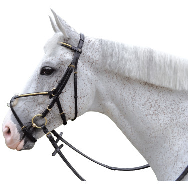 Bridon clencher croisé Canter Bridon clencher croisé Canter