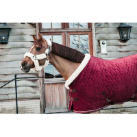 Couverture de présentation Velvet Kentucky Bordeaux