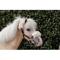 Licol mouton en cuir Kentucky Marron