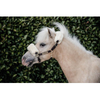 Licol mouton en cuir Kentucky Marron Licol mouton en cuir Kentucky Marron
