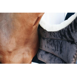 Protection de poitrail BIB Hiver Kentucky Noir Protection de poitrail BIB Hiver Kentucky Noir