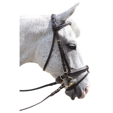Bridon Pull Back Euro Canter Bridon Pull Back Euro Canter