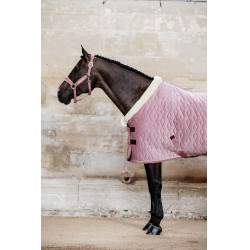 Couverture de présentation Velvet Kentucky Vieux rose