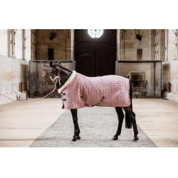 Couverture de présentation Velvet Kentucky Vieux rose