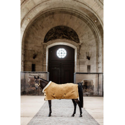 Couverture de présentation Velvet Kentucky Moutarde Jaune