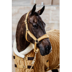 Couverture de présentation Velvet Kentucky Moutarde Jaune