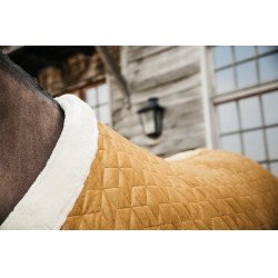 Couverture de présentation Velvet Kentucky Moutarde Jaune