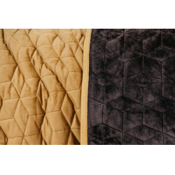 Couverture de présentation Velvet Kentucky Moutarde Jaune