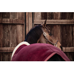 Chemise Séchante Show Fleece Heavy Kentucky Bordeaux Chemise Séchante Show Fleece Heavy Kentucky Bordeaux