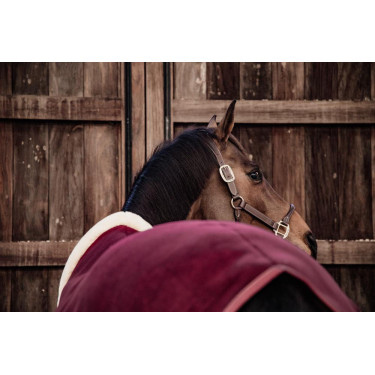 Chemise Séchante Show Fleece Heavy Kentucky Bordeaux Chemise Séchante Show Fleece Heavy Kentucky Bordeaux