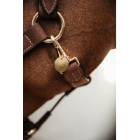 Médaille Kentucky Or Médaille Kentucky Or