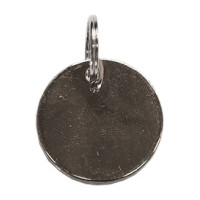 Médaille Kentucky Argent