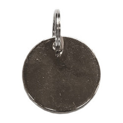 Médaille Kentucky Argent