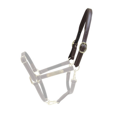Têtière pour Licol Flexible Kentucky Marron